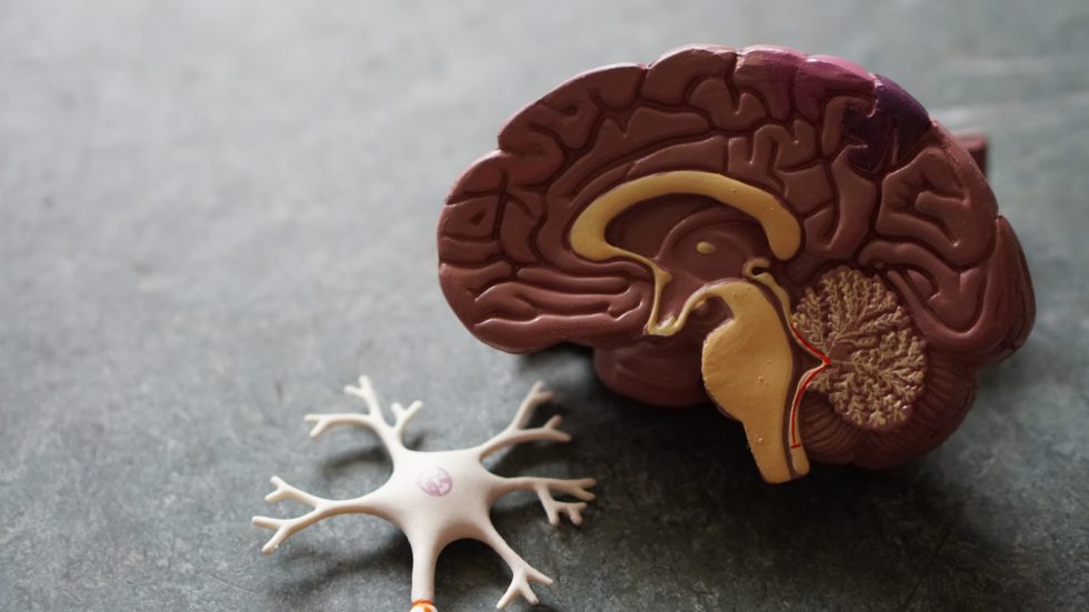 Effexor side effects include brain damage citizens commission on